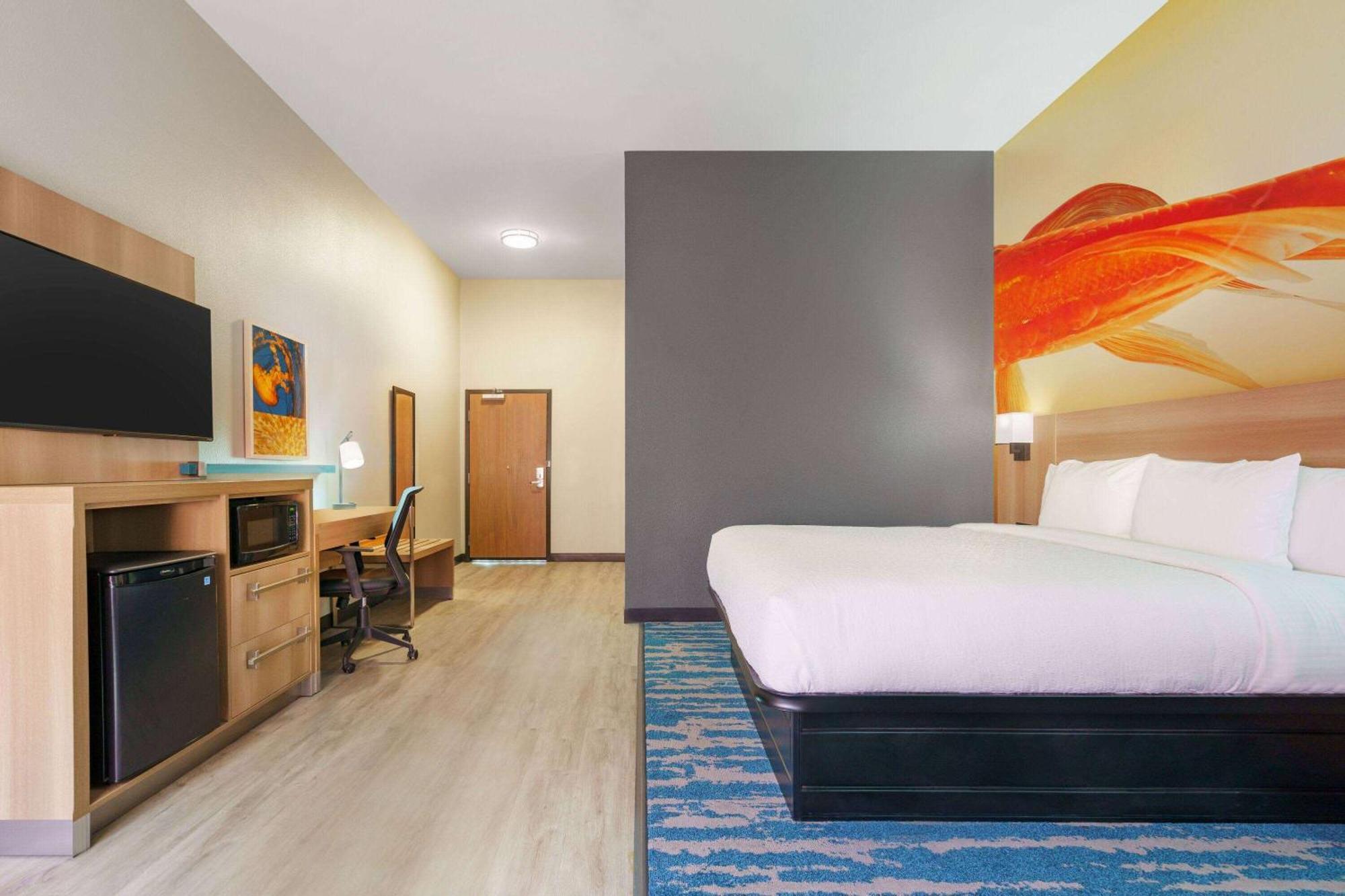 La Quinta Inn & Suites By Wyndham San Antonio Seaworld Lafb Exteriér fotografie
